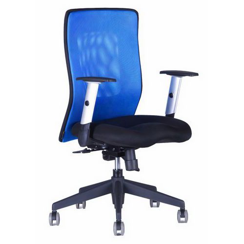 Kancelárske stoličky Calypso XL
