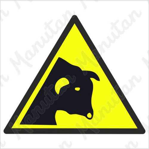 Výstražné tabuľky – Výstraha býk