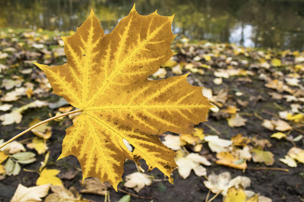 4 tipy, ako pripraviť firmu na jeseň